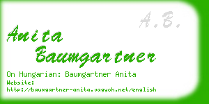 anita baumgartner business card